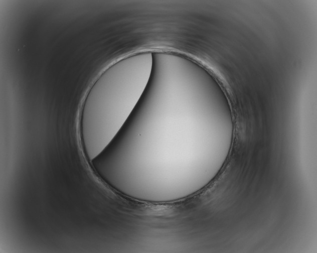 X0000089931382200706290746