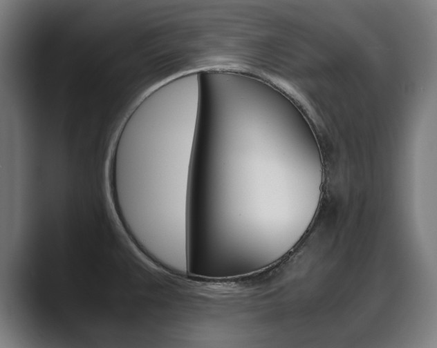 X0000089931383200706290746