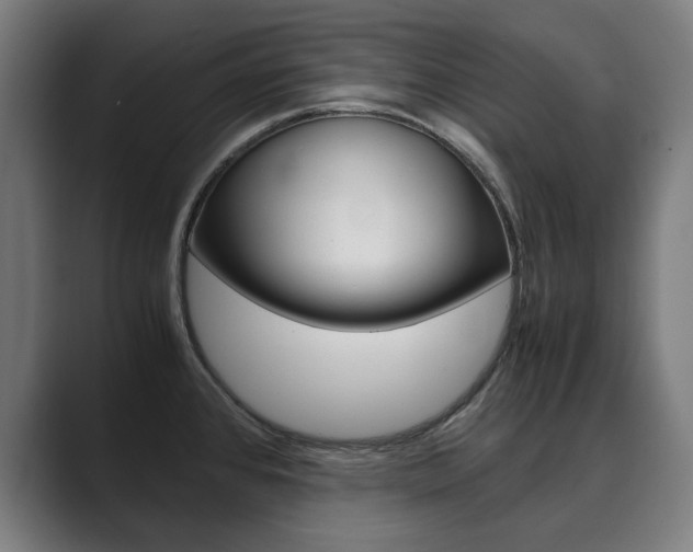 X0000089931384200706290746