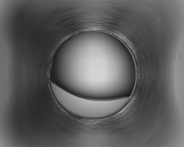 X0000089931385200706290746