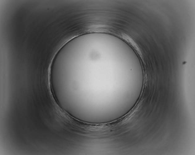 X0000089931386200706290746