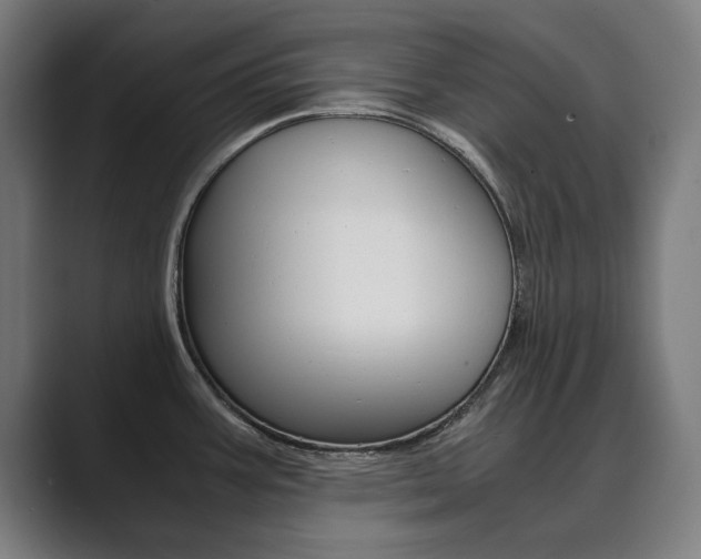 X0000089931387200706290746