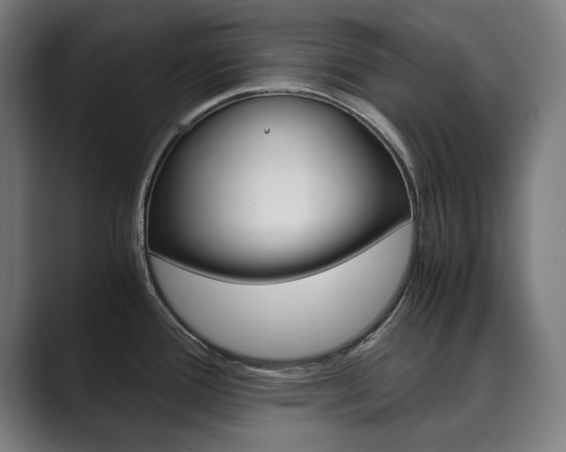X0000089931388200706290746