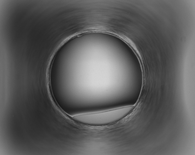X0000089931389200706290746