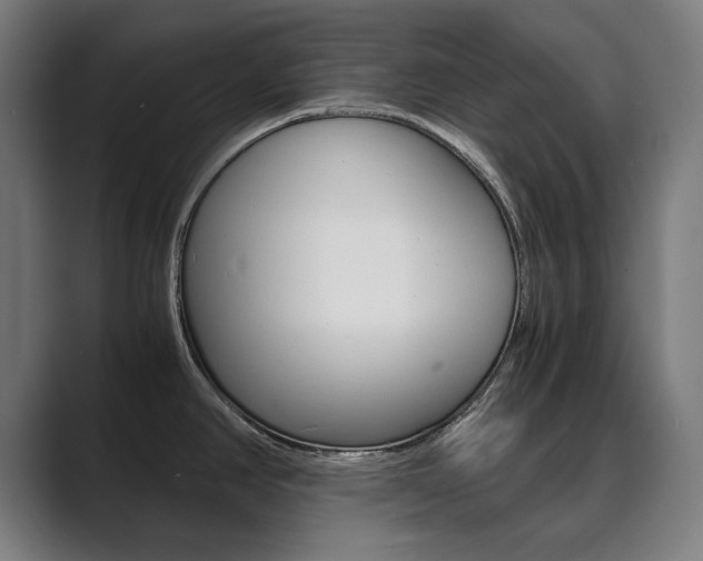 X0000089931390200706290746