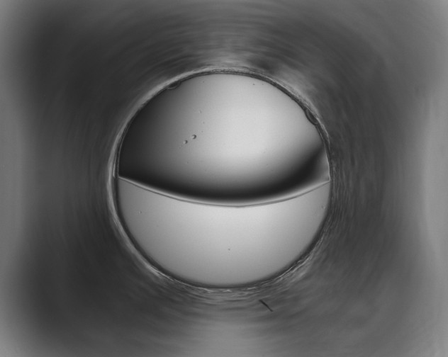 X0000089931391200706290746