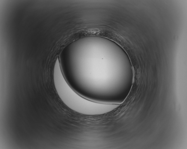X0000089931394200706290746