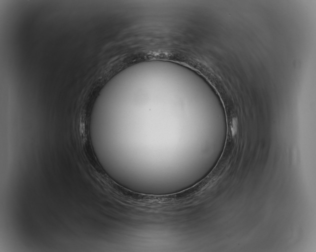 X0000089931396200706290746