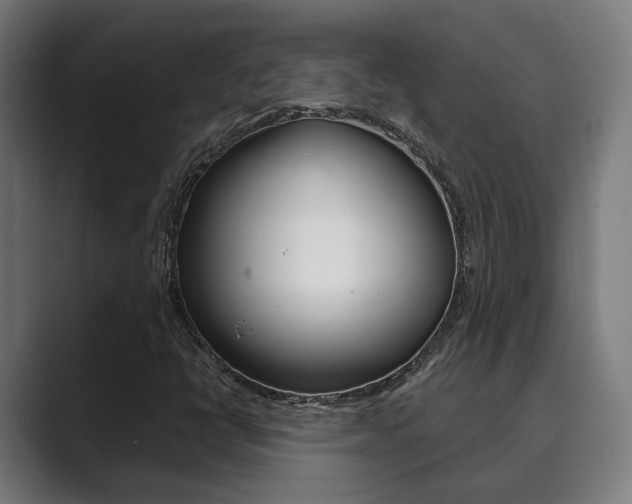 X0000089931398200706290746