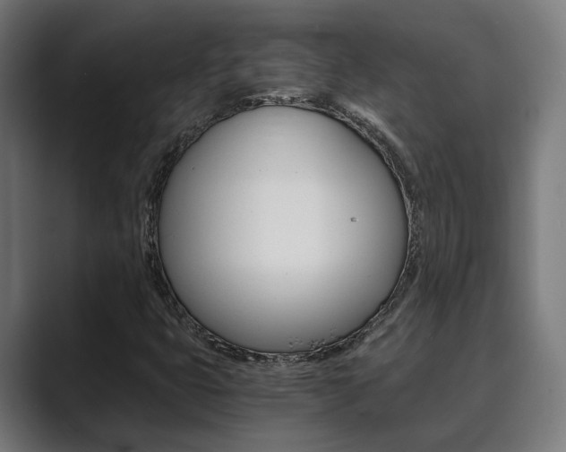 X0000089931399200706290746