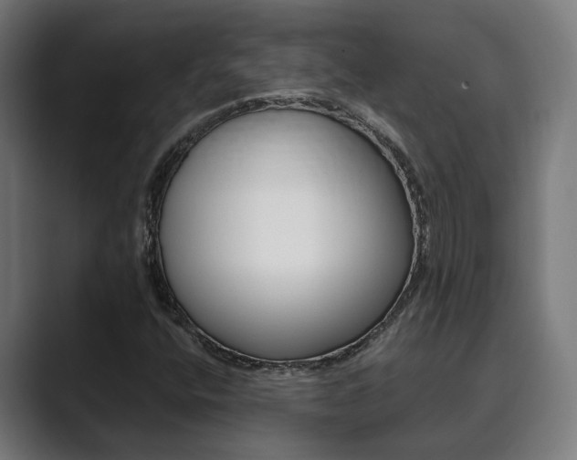 X0000089931400200706290746