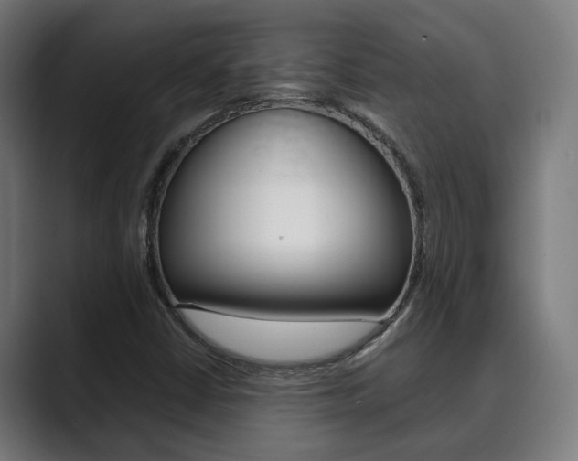 X0000089931402200706290746