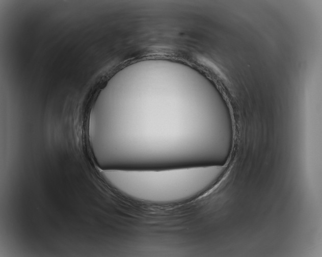X0000089931403200706290746
