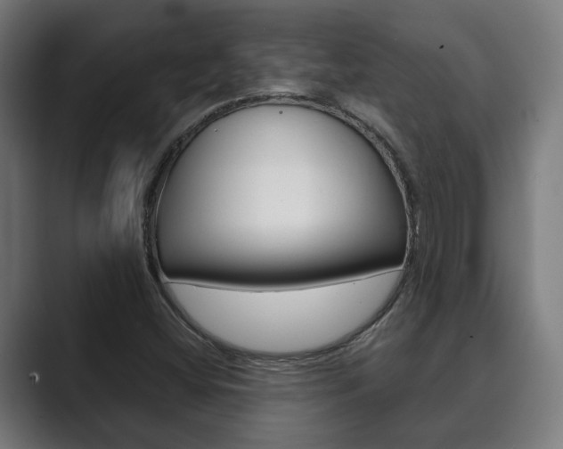 X0000089931404200706290746
