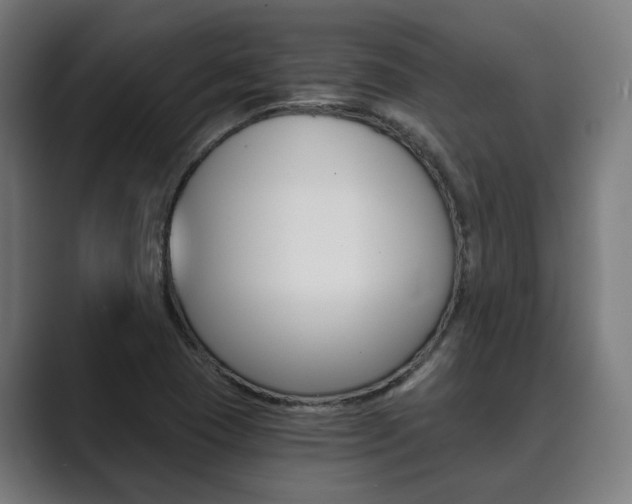 X0000089931409200706290746