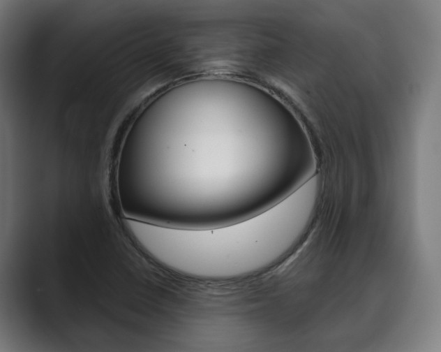 X0000089931410200706290746