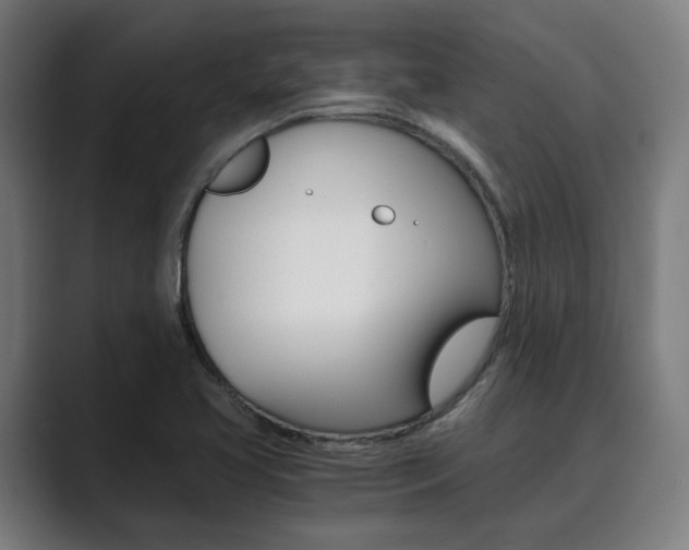 X0000089931413200706290746