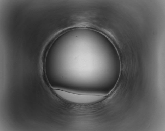 X0000089931414200706290746