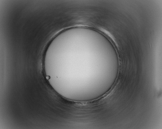 X0000089931415200706290746