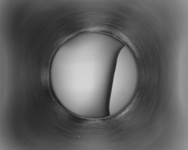 X0000089931417200706290746