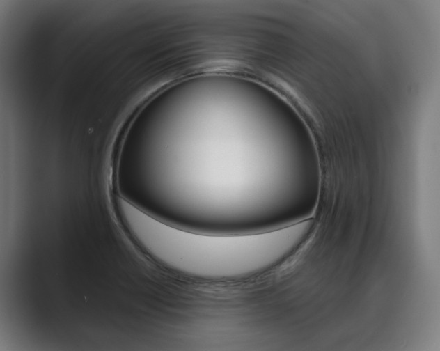 X0000089931418200706290746