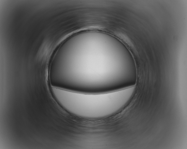 X0000089931420200706290746