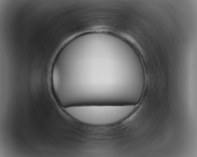 X0000089931421200706290746