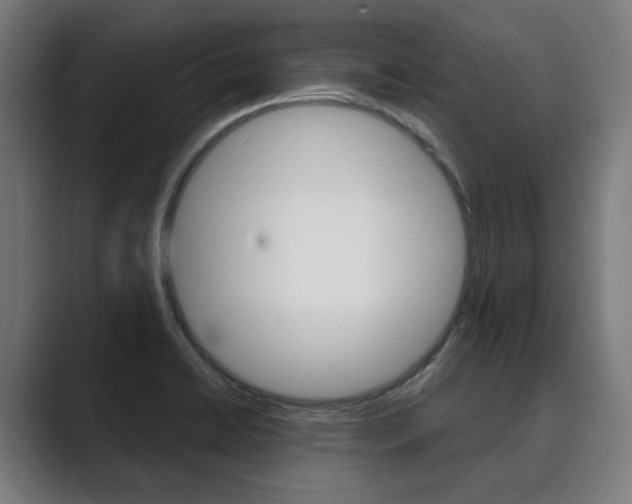 X0000089931422200706290746