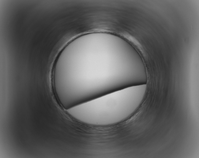 X0000089931423200706290746