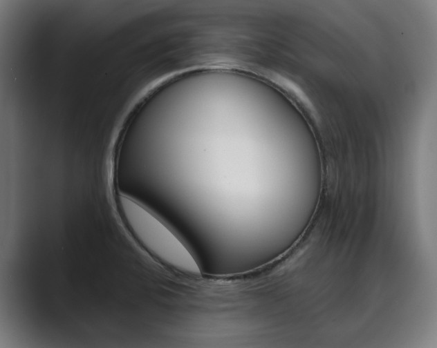 X0000089931424200706290746