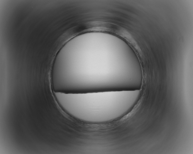 X0000089931425200706290746