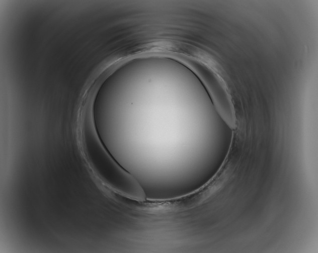 X0000089931426200706290746