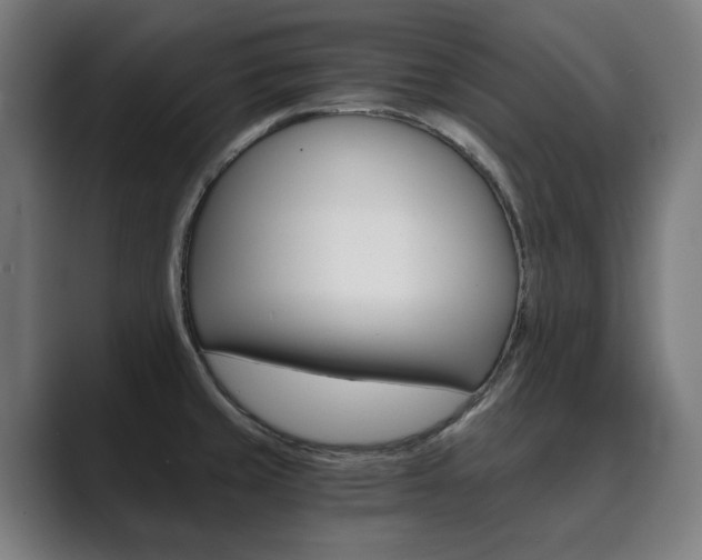 X0000089931429200706290746