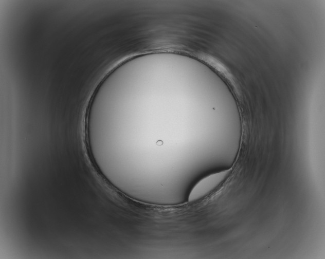 X0000089931431200706290746