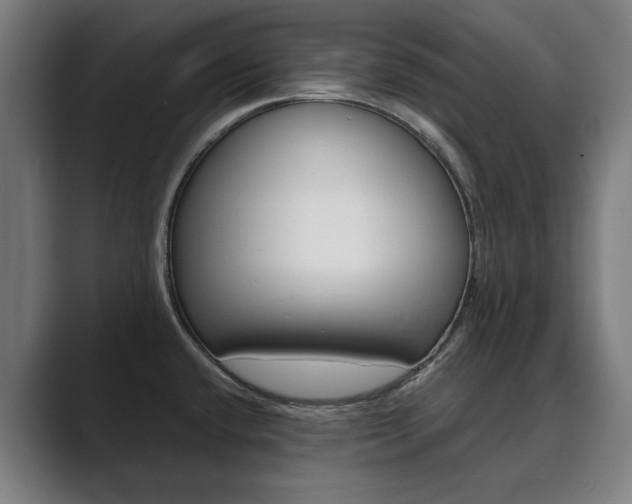 X0000089931432200706290746
