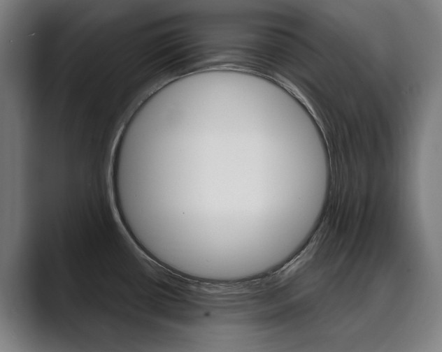 X0000089931434200706290746