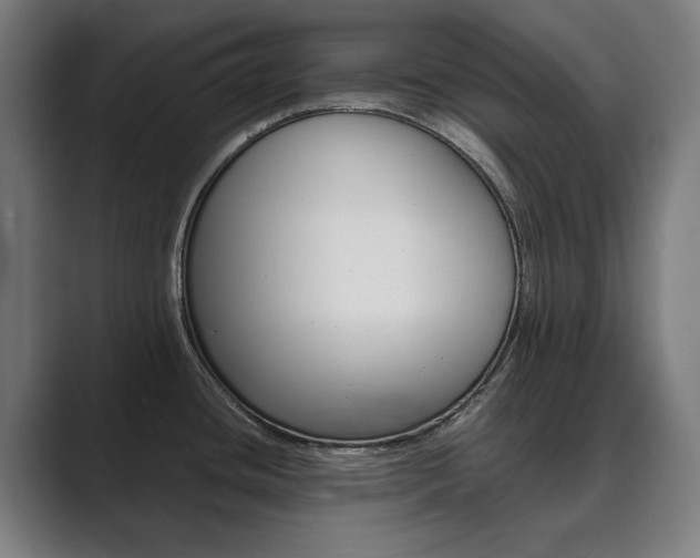 X0000089931436200706290746