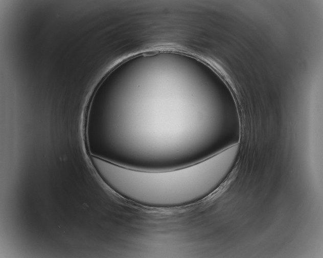 X0000089931438200706290746