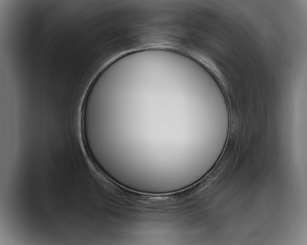 X0000089931439200706290746