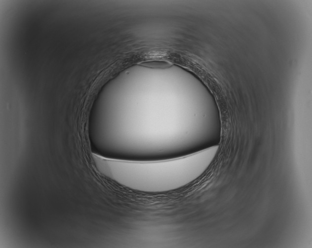 X0000089931441200706290746