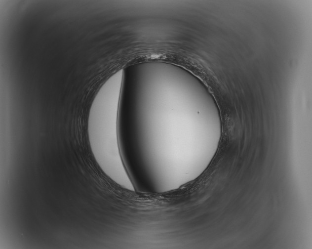 X0000089931442200706290746