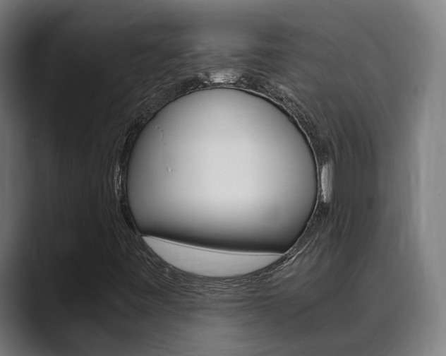 X0000089931443200706290746