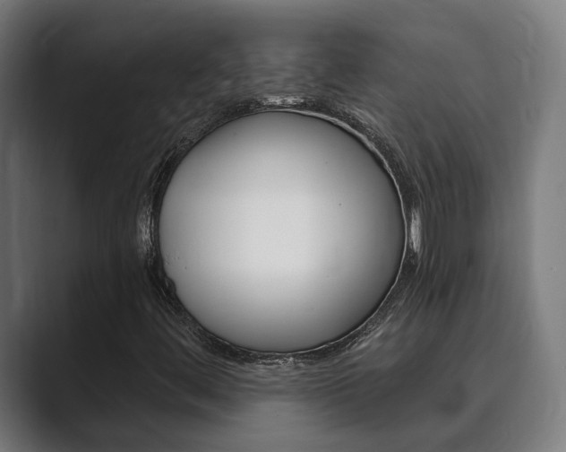 X0000089931444200706290746