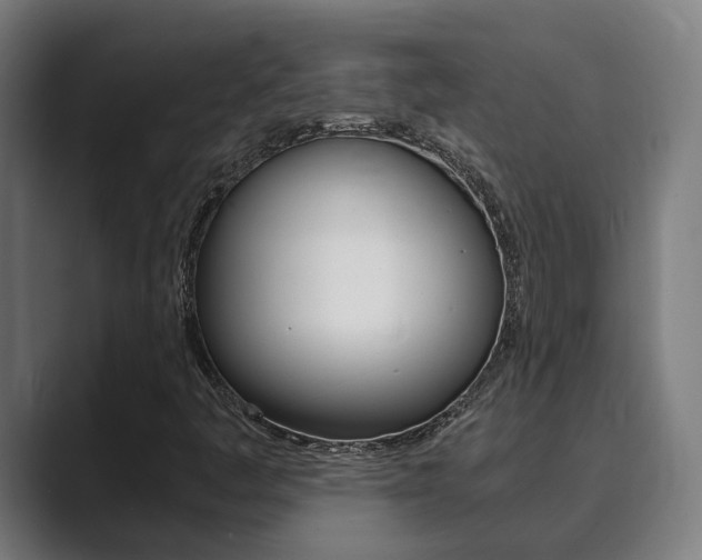 X0000089931445200706290746