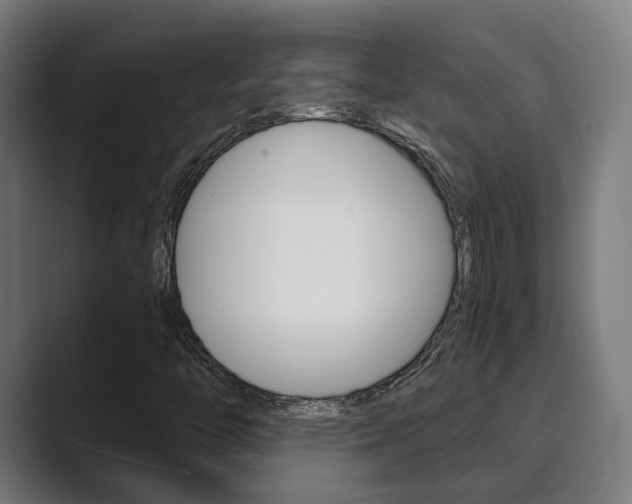 X0000089931446200706290746