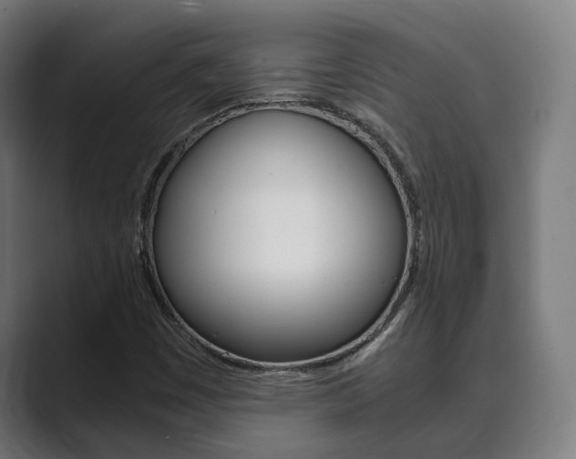 X0000089931449200706290745
