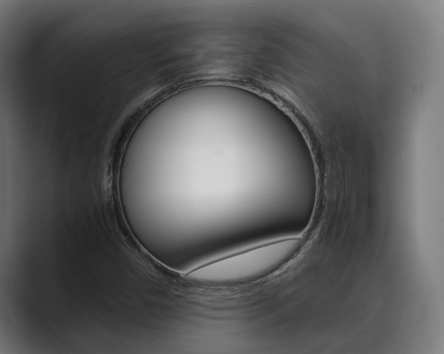 X0000089931450200706290745