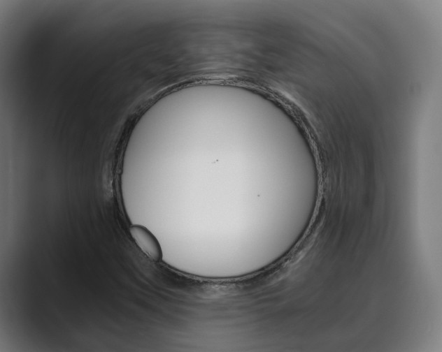 X0000089931451200706290745