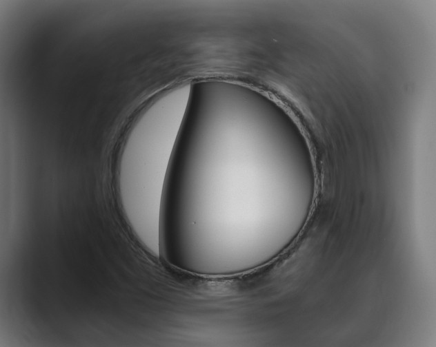 X0000089931453200706290745