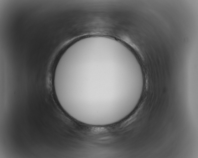 X0000089931454200706290745